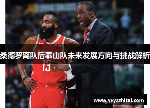 桑德罗离队后泰山队未来发展方向与挑战解析